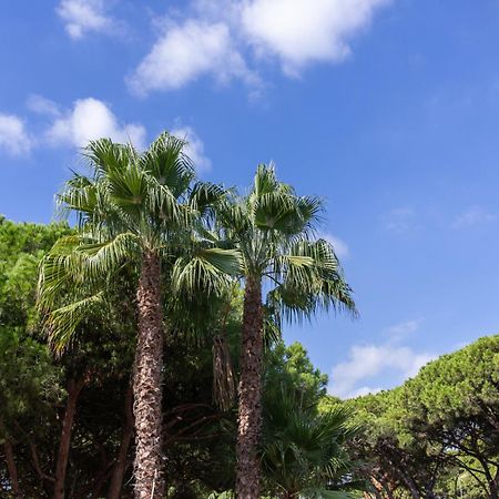 Aparthotel Las Palmeras 卡斯特尔德费尔斯 外观 照片